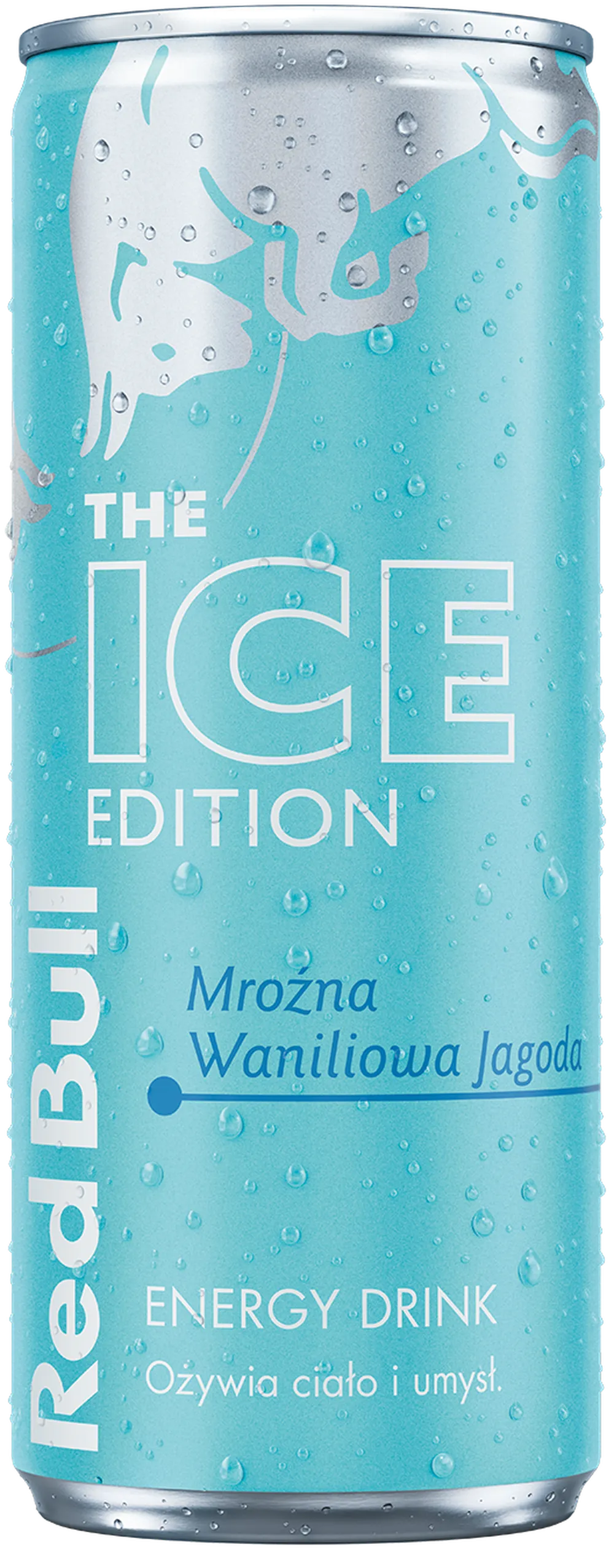 Red Bull Energy Drink Winter Edition Iced Vanilla Berry - My American Shop