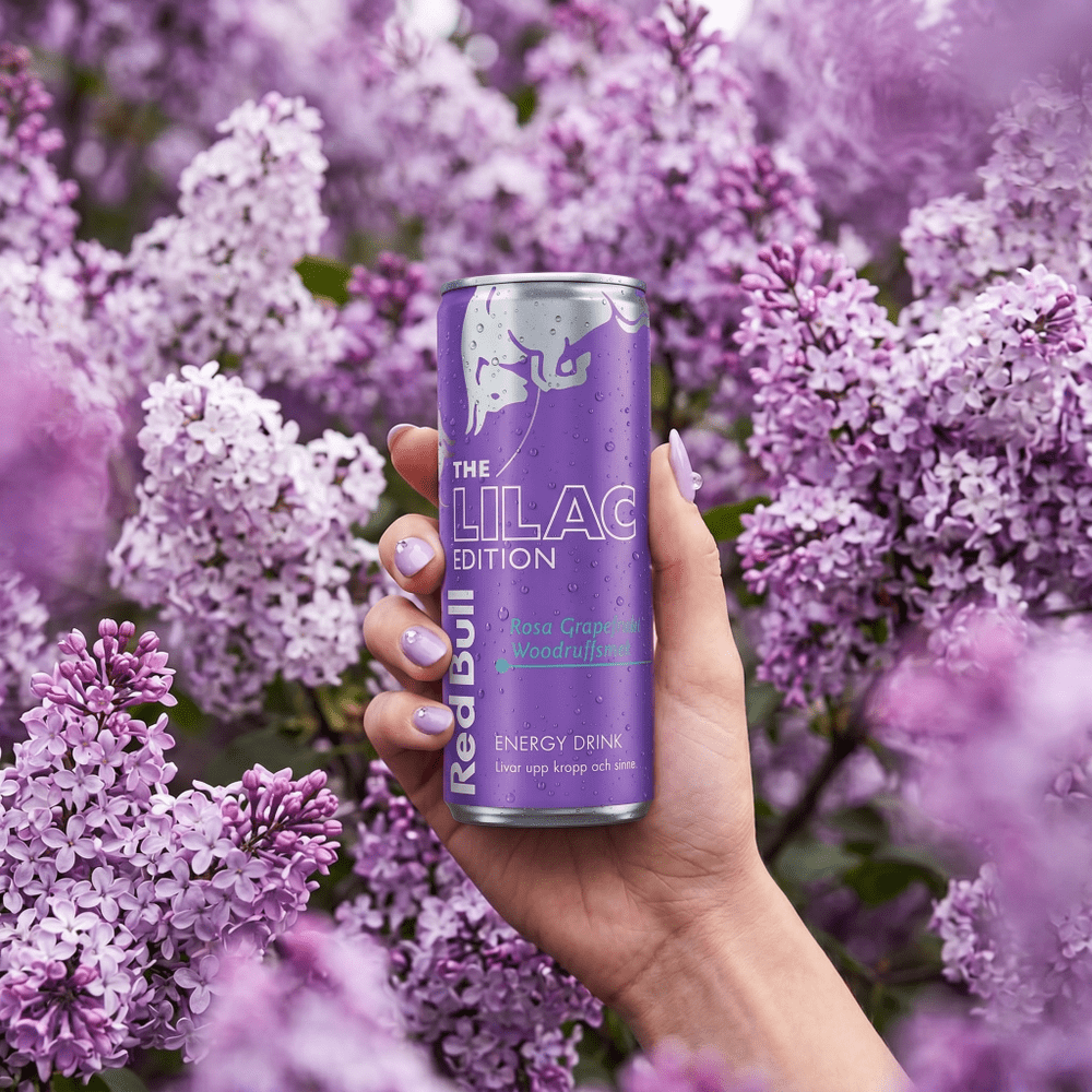 Red Bull Drink Lilac Edition Pink Grapefruit & Woodruff