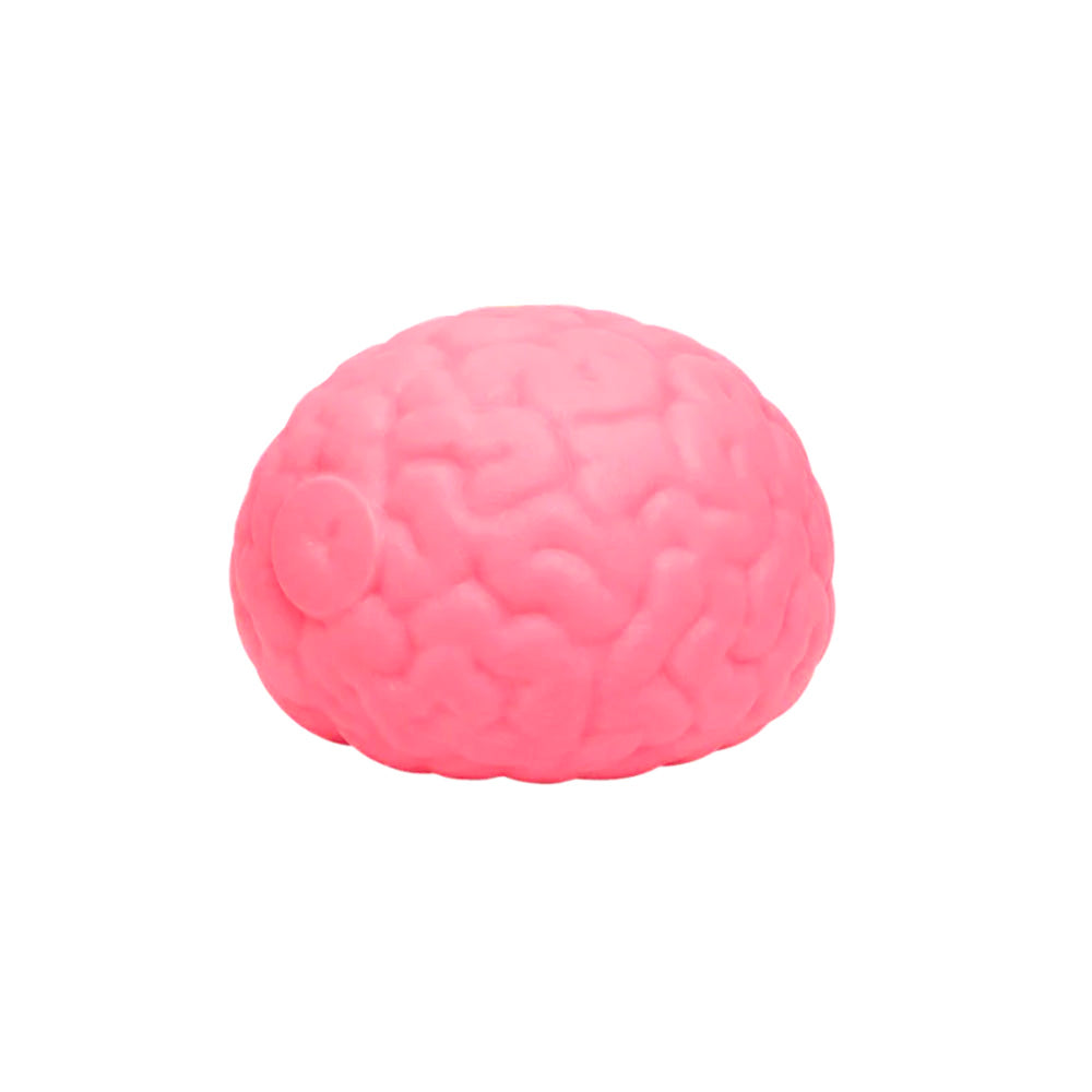 Squishy Brain