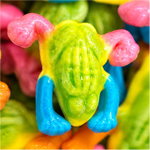 Vidal Tropical Frogs