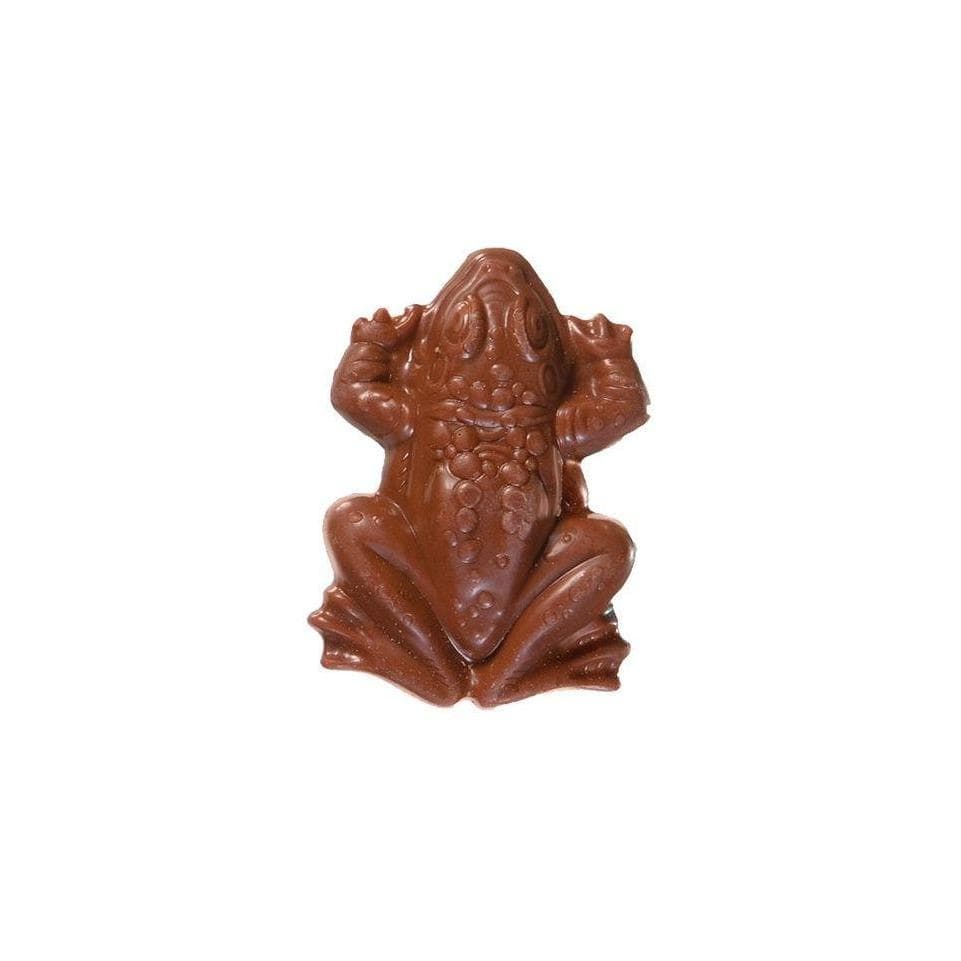 Harry Potter Bocal de Bonbon en Verre Grenouille Chocolat 750ml